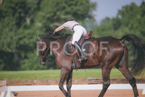 RWP_4661