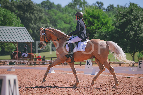 RWP_9878