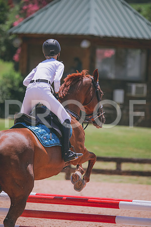 RWP_5593