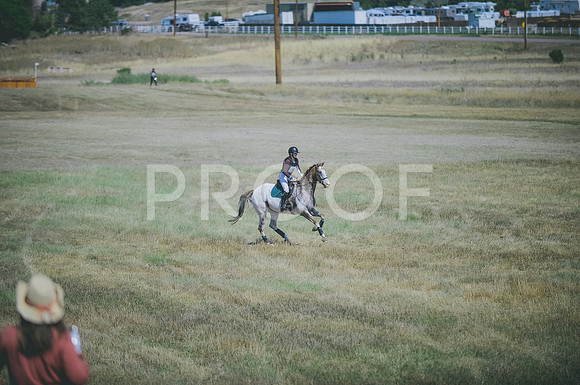 JJS_1731
