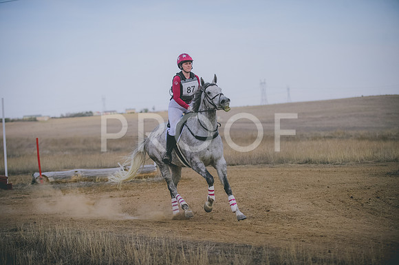 JJS_4646