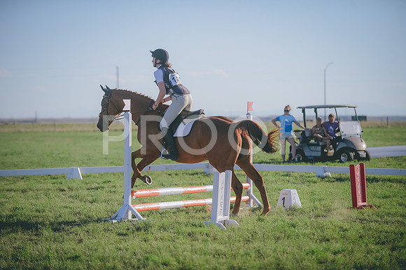 JJS_3304