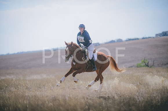 JJS_0281