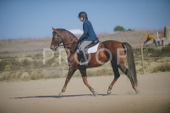 JJS_3636
