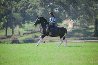 RWP_6374