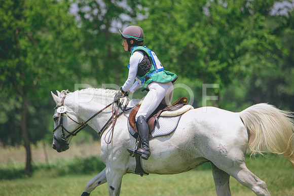 RWP_3353