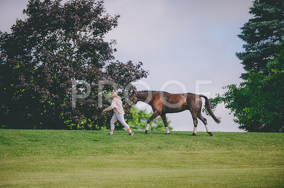 JJS_0703