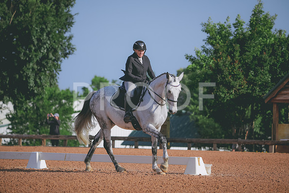 RWP_3811