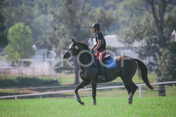 RWP_6435