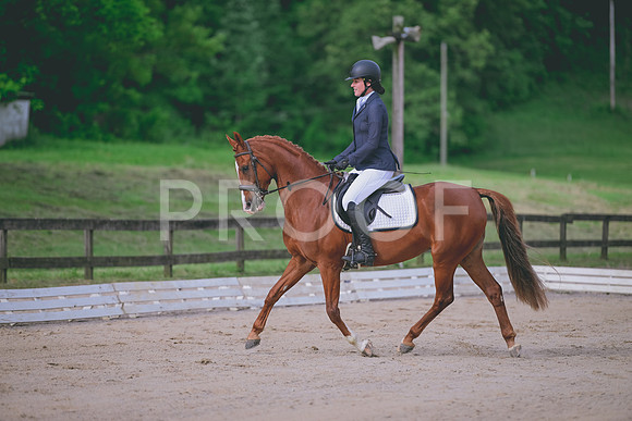 TLS_3439