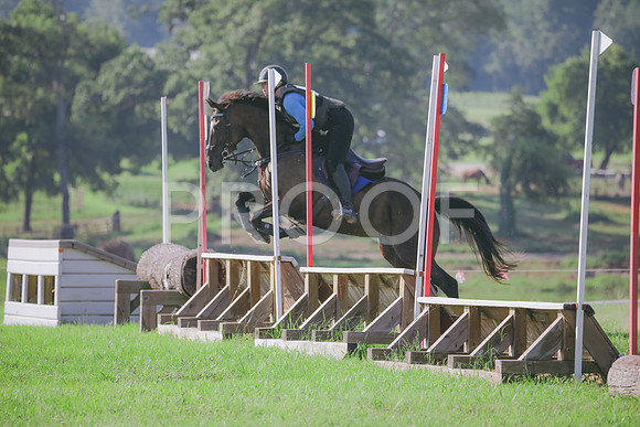 RWP_6177