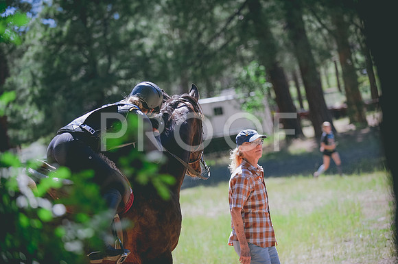 JJS_3691