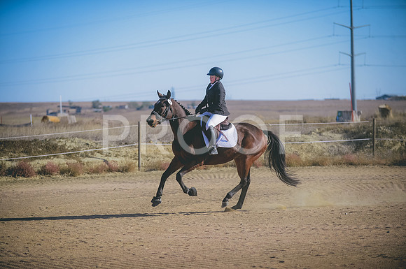JJS_1221