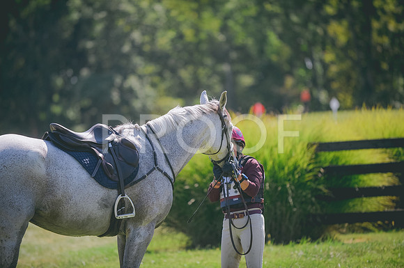 JJS_5271