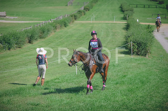 JJS_1208