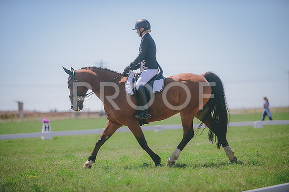 JJS_4252