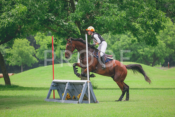 RWP_2334