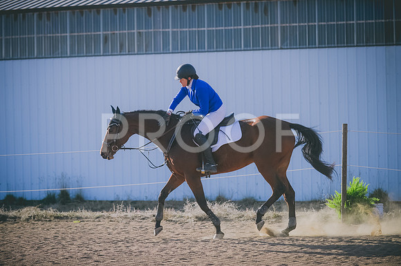 JJS_8056