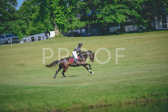 JJS_3637