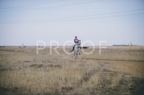 JJS_4624