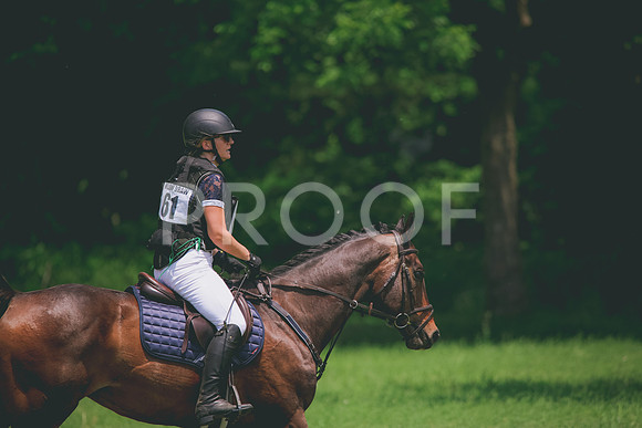 RWP_3885