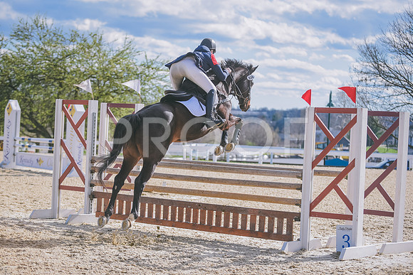 DSC_1494 copy