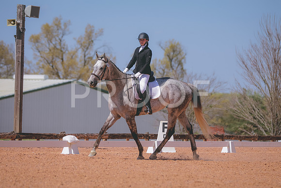 CDP_3037