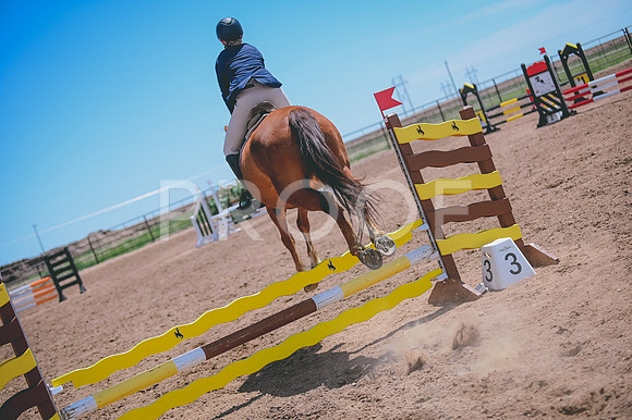 DSC_0604