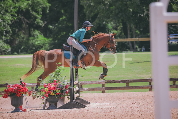 RWP_5372