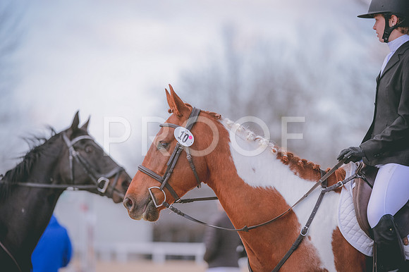 JJS_9189