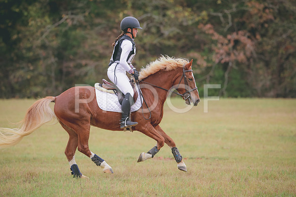 RWP_3590