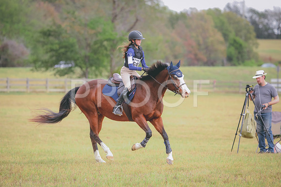 RWP_3661