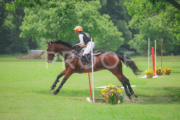 RWP_2346