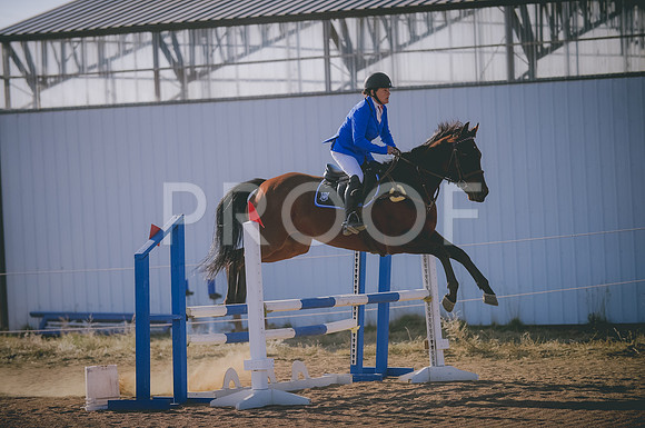 JJS_8682