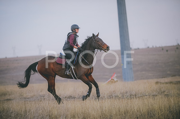 JJS_5376