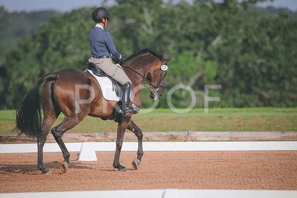 RWP_4385