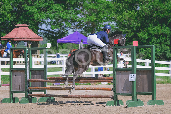 DSC_2516