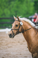 Andie Hagood/Good Ride Cowgirl