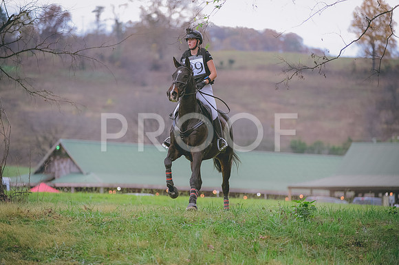 JJS_0499