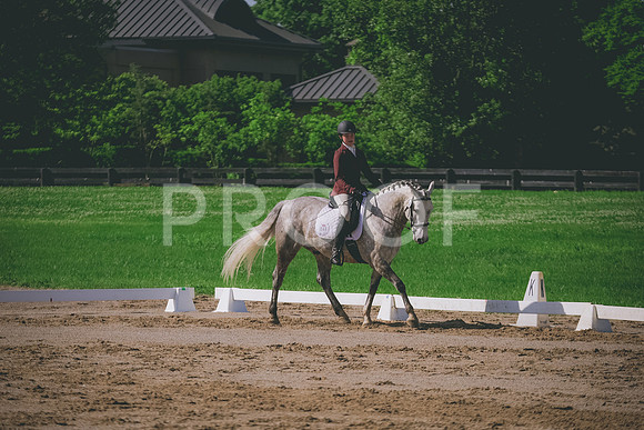 2E8A5816