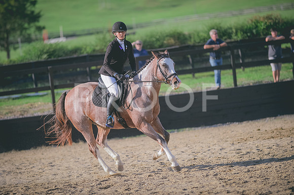 JJS_7965A