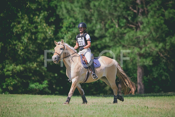 RWP_1182