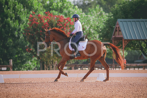 RWP_4276