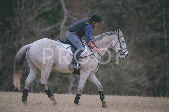 JJS_8939