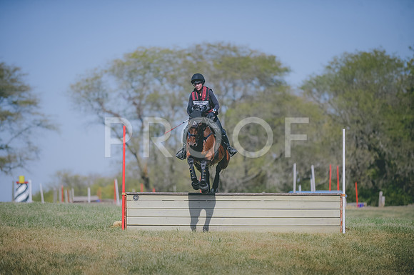 JJS_7042