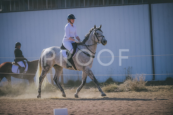 JJS_2591
