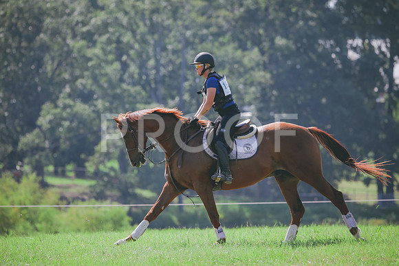 RWP_6479