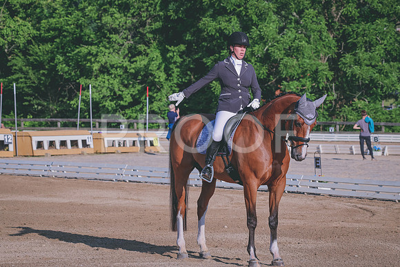 1L8A7146
