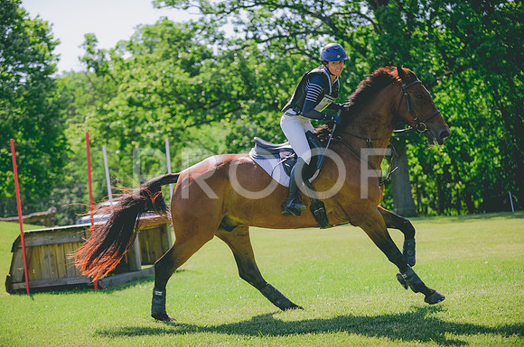 JJS_3521