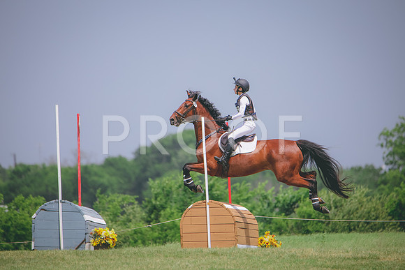 RWP_1586